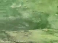 کارناوال | آبشار ویسادار گیلان