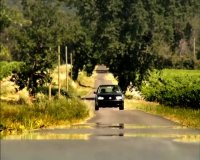 دانلود انیمیشن زندگی خصوصی حشرات 2006 - قسمت 2 - مورچه ها