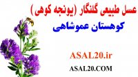 خرید عسل طبیعی از فروشگاه عسل کوهستان - عسل طبیعی گلنگار یا یونجه کوهی