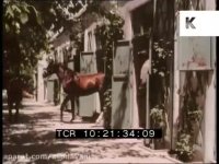 زندگی ییلاقی حیوانات و اسبها در ایران دهه پنجاه