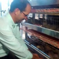 مشاوره وفروش ماکیان