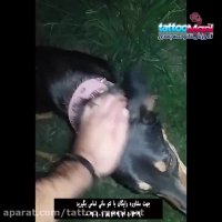 آموزش خالکوبی در تتو مانی آرت 09118392139