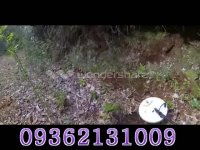 GPX5000دستگاه طلایاب 09362131009-09372131009