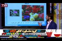 آموزش تست زنی عربی مبحث استثنا مدرس مصطفی آزاده