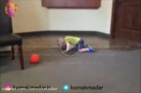 علت کوبیدن سر به در و دیوار در کودکان