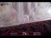 چگونگی تولید فرش در کاشان