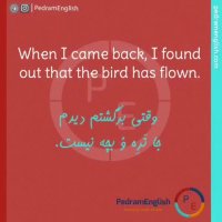 When I came back, I found out that the bird has flown