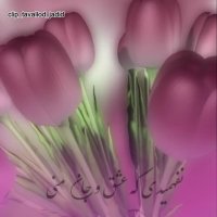 نفهمیدی که عشق و جان منی | آهنگ زیبا و عاشقانه | حمید هیراد