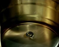 دانلود انیمیشن زندگی خصوصی حشرات 2006 - قسمت 7 - زرد طلایی