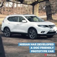 خودرویی سفارشی برای دوستداران سگ