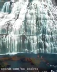 شگفتیهای طبیعت