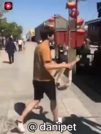 واقعا دیدن داره از خنده روده بر میشی