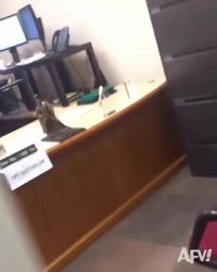 ترس در اتاق کار