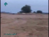 آهوان جزایر خلیج فارس 