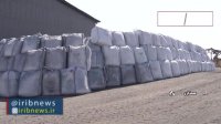 افزایش دو برابری صادرات فروسیلیس سمنان