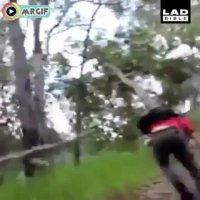 خودزنی پسر جوان با تنه درخت