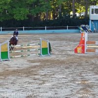 جواد امامی از باشگاه سوران