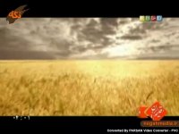 گردشگری دزفول