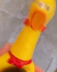 کلیپ خنده دار باحال جوجه جغجغه ای