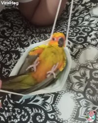 کلیپ خنده دار خواب موندن اولین روز کاری