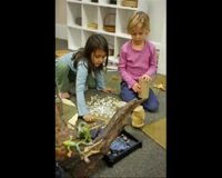 هنر در مدرسه رجیو _ 1