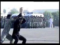 پیروزی کوزه‌ بر تکاوران