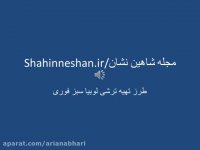 طرز تهیه ترشی لوبیا سبز فوری