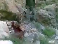 کشتن ناجوانمردانه خرس و توله هایش