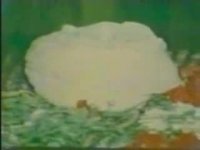 مراسم خاکسپاری شهید مطهری