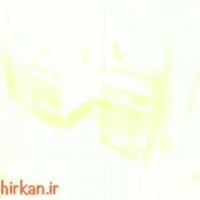 خرید آنلاین برنج از ارتا رحیمی