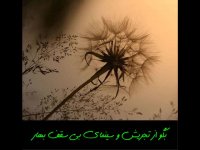 عاشقانه ترین کلیپ عاشقانه