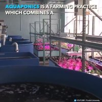 کشاورزی به شکل پیشرفته