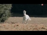 دوبله فیلم ارباب حلقه ها 
