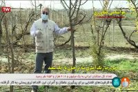 توصیه های هواشناسی کشاورزی 11 دی 1399