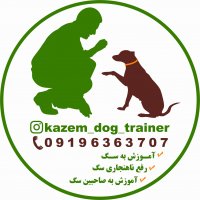 مربی سگ اموزش فرمان بمون