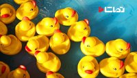 لاستیک " Ducky " از چه جنسی است ؟