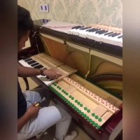 کوک  و رگلاژ پیانو 09033988350