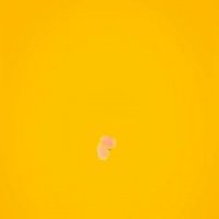 استاپ موشن میوه ای