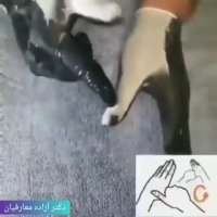 فیلم اصول شستشوی دست