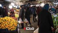 عرضه میوه شب عید در تره بار با قیمت مصوب تنظیم بازار