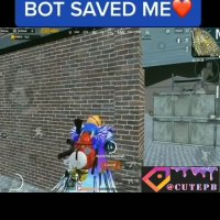 بات و انمی رو باهم زد