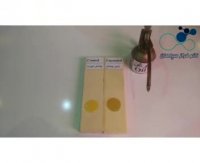 خاصیت چربی گریزی و روغن گریزی نانو پوشش فراز پوش