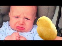 برخورد جالب بچه ها با حیوانات ... فیلم های خنده دار کوچولوها