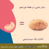 فیلم مراحل رشد جنین در بارداری جالب است ببینید