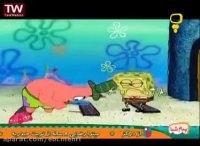 باب اسفنجی جدید