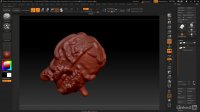 Pluralsight – Stylized Forest Sculpting in ZBrush