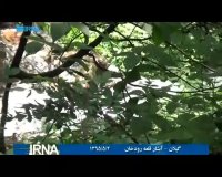  گیلان - آبشار قلعه رودخان در فومن