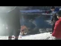 نجات شجاعانه یک سگ از دریاچه یخ زده