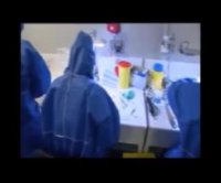 آقای کلانتری!این فیلم راببینید،بعد ازتراریخته‌ها دفاع کنید!