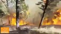 آتش سوزی وحشتناک جنگل های شرق گلستان